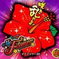マイフラワー30